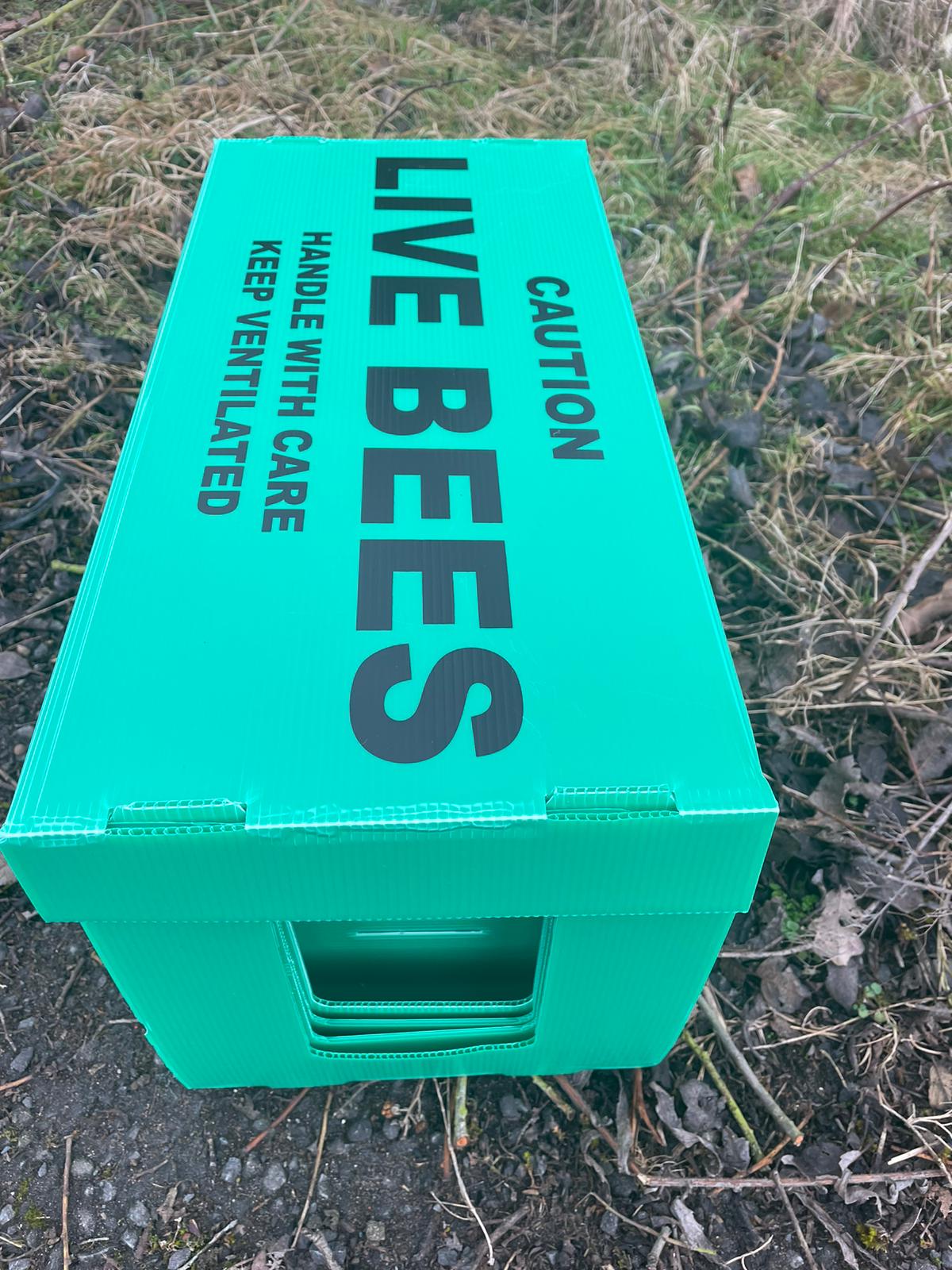 Correx Box Beehive 6 Frame – From the Beehive